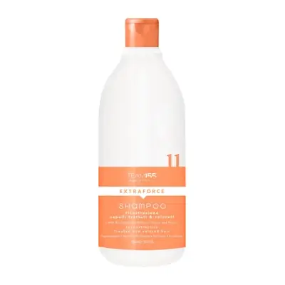 TEAM 155 šampon EXTRAFORCE 11 za farbanu i tretiranu kosu 1000ml